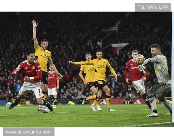 万博足球官网入口下载：2024年最新版本下载安装流程详解