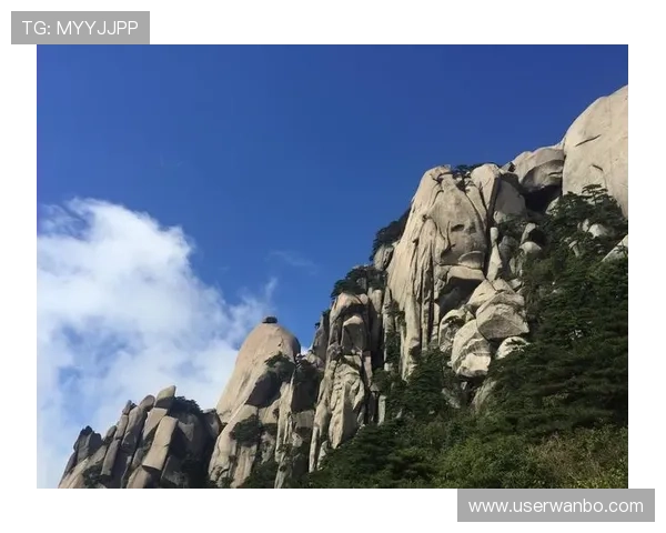 manbetx万博官网客户服务体验与评价,真实用户反馈带你全面认识平台优势和改进空间 manbetx万博官网客户服务体验与评价,真实用户反馈带你全面认识平台优势和改进空间