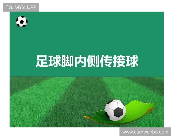 深入了解万博足球官网网站首页提供的专业足球数据统计与赛事分析服务
